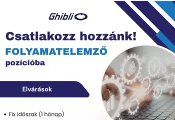 Rövid távú (1 hónapos) projektmunka – Lean szemléletű folyamatelemző