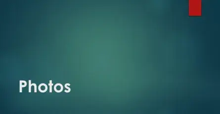 Photos