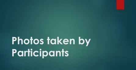 Photos Taken by Participants