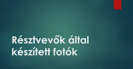 Résztvevőink által készített fotók